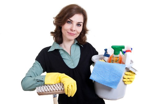 Eco-friendly carpet cleaning products in Dollis Hill